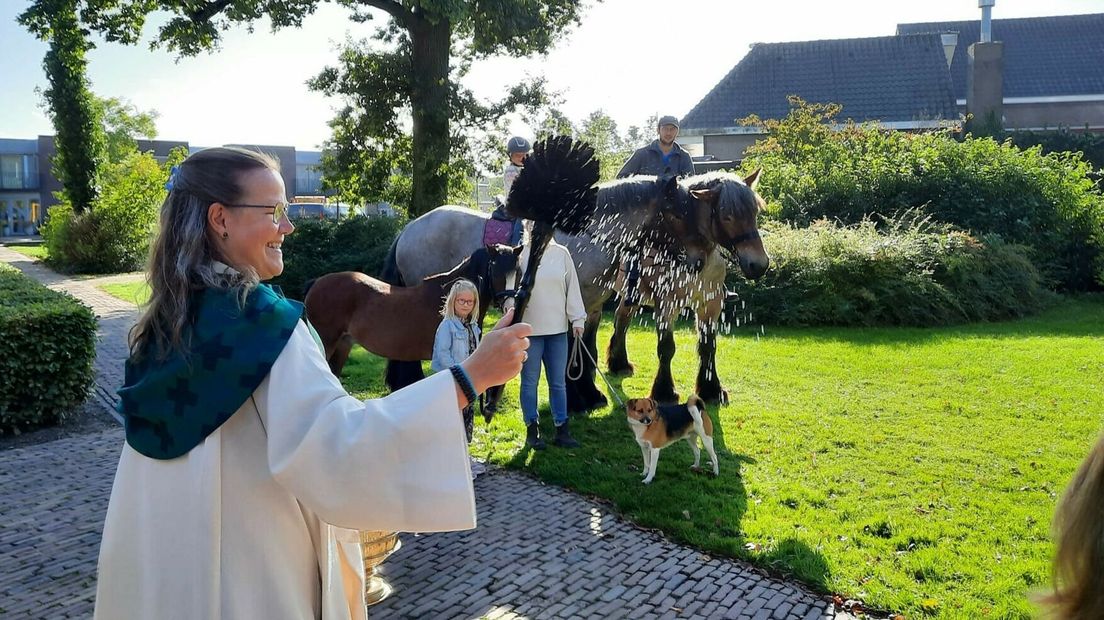 De dieren werden gezegend