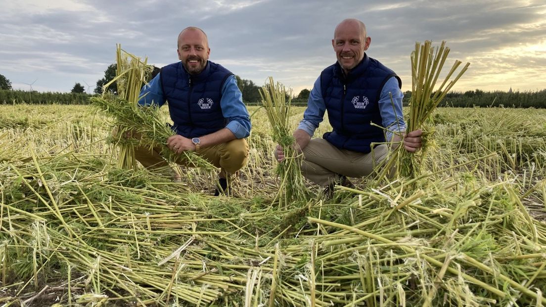 Luc en Wout de Wit zijn de drijvende krachten achter BouwBoeren