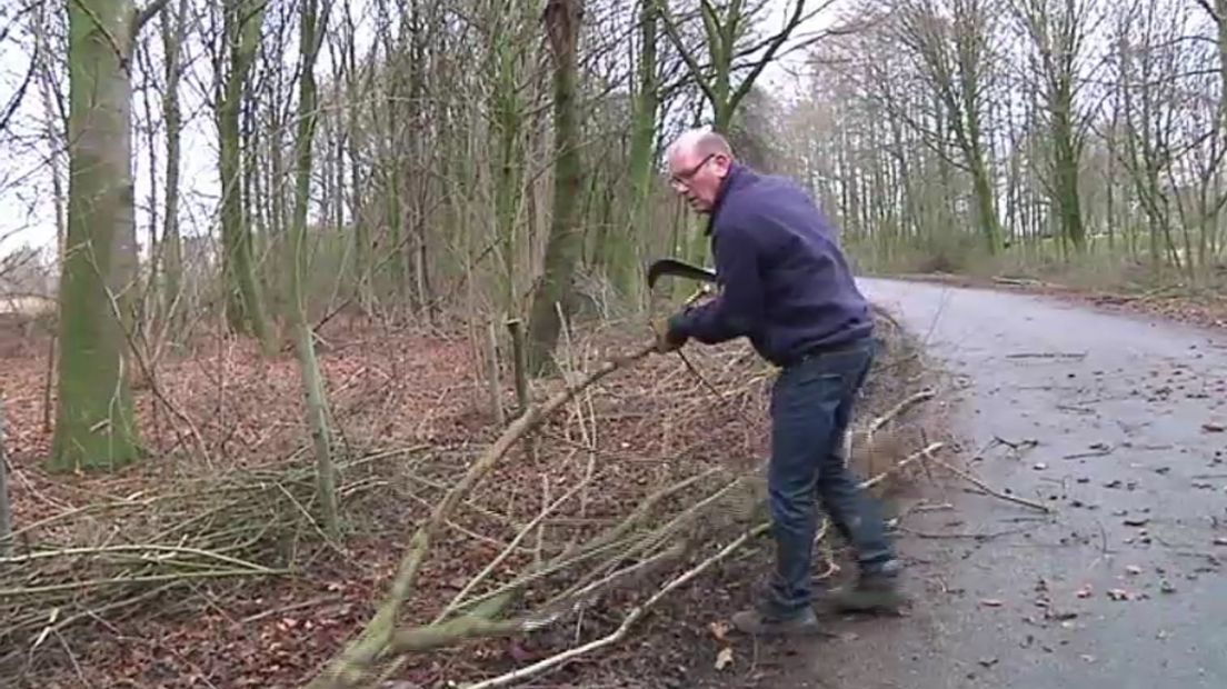 Burgemeester Wim Groeneweg hakt hout