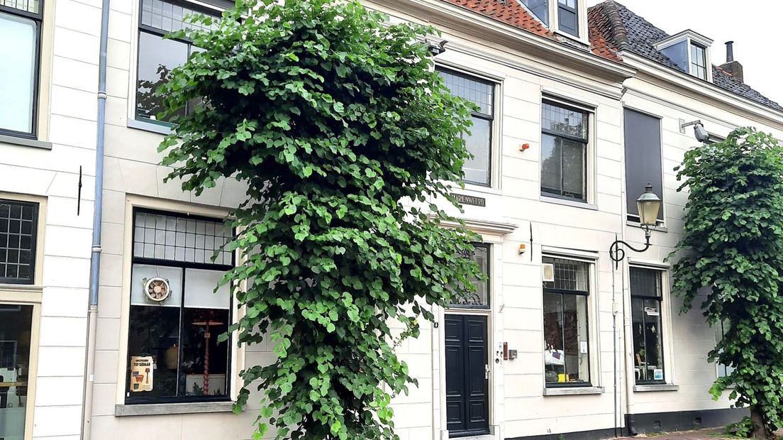De mogelijke locatie aan de Mariënweerd.