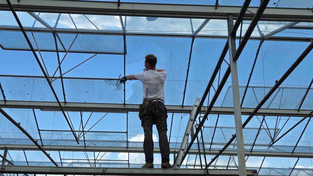 Hagelbui zaterdag was 'niet uitzonderlijk' maar schade is aanzienlijk