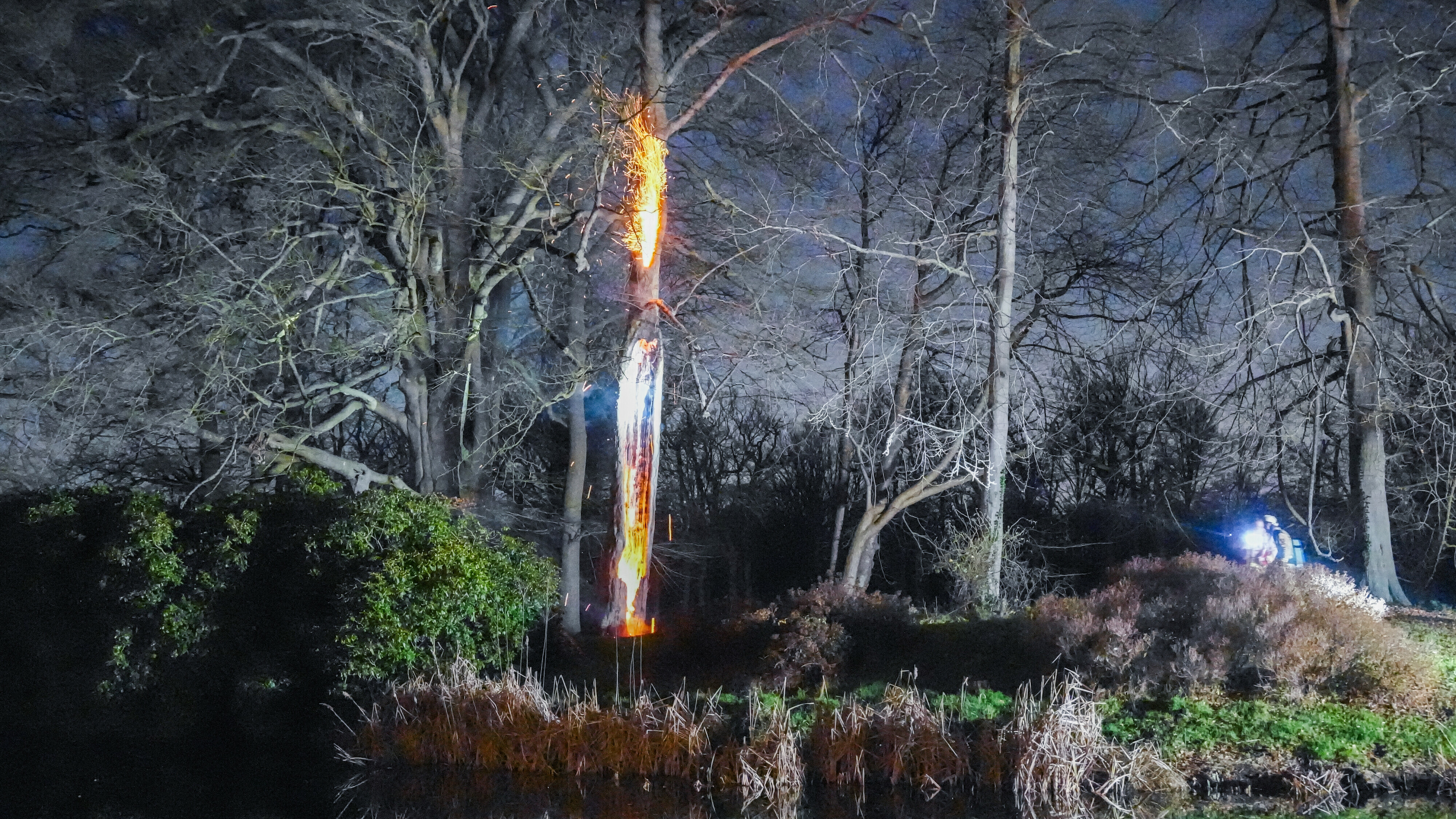 Brand in oude boom op landgoed Paterswolde