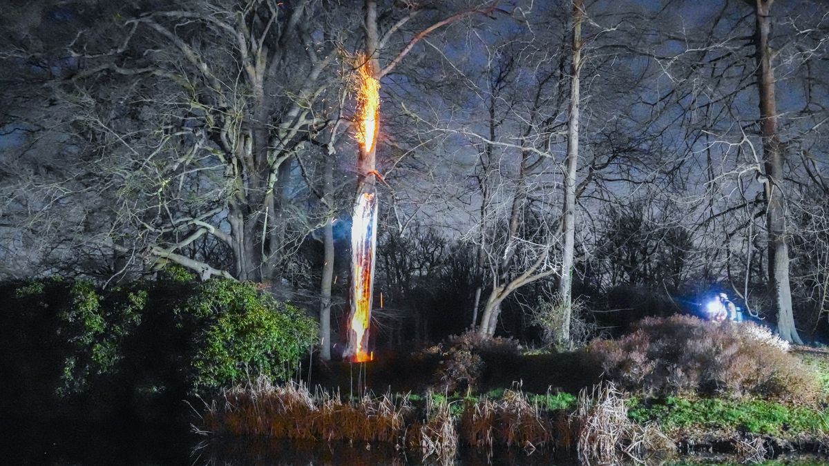 Brand in oude boom op landgoed Paterswolde