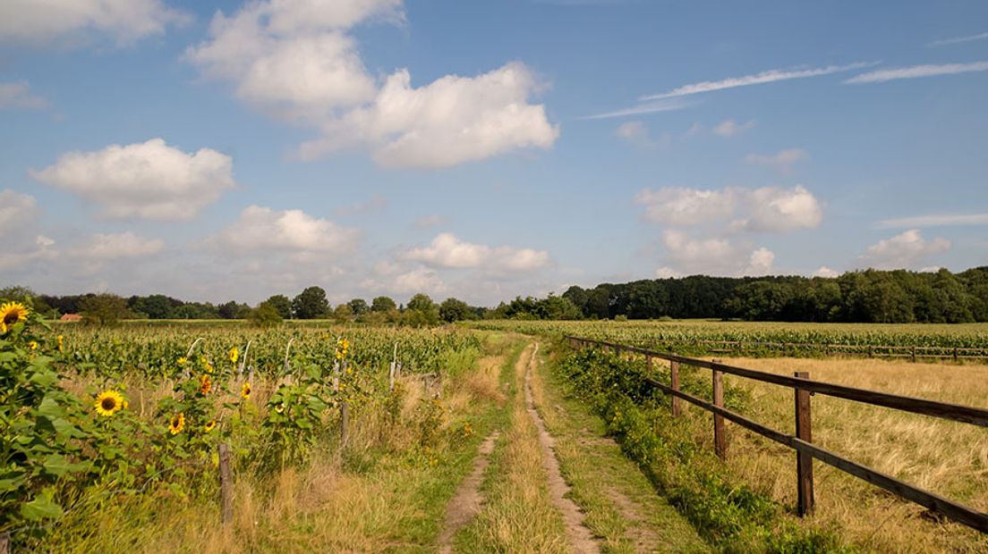 Komen hier zonnepanelen te staan?