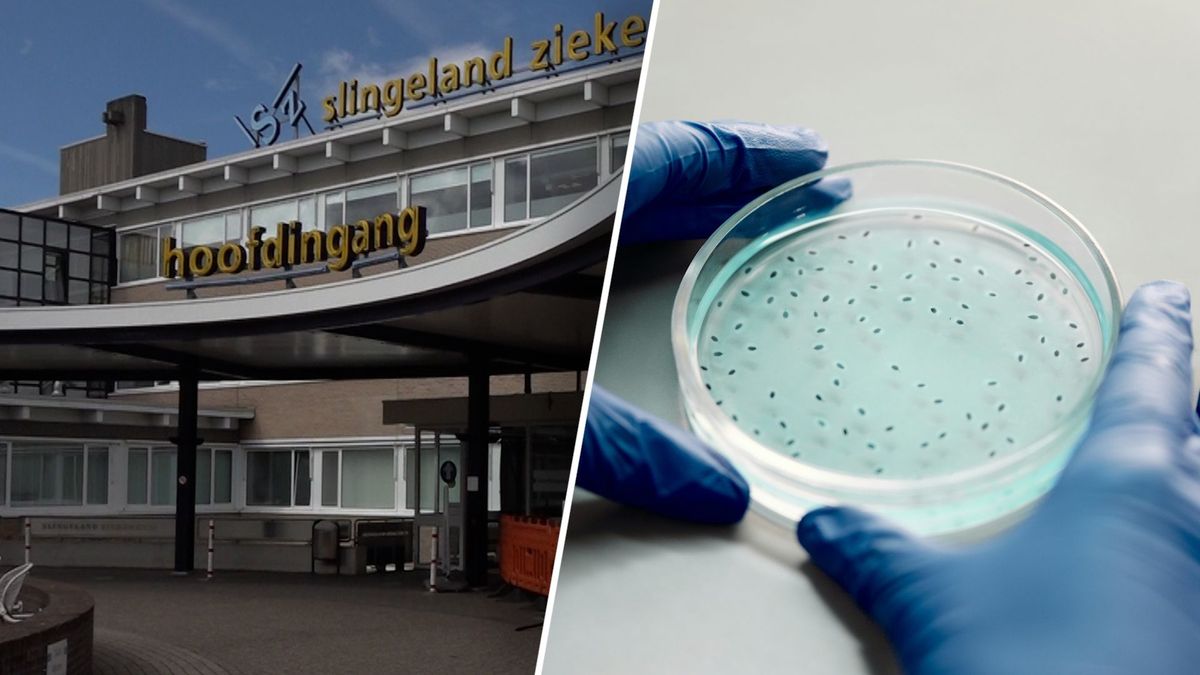 Geen nieuwe gevallen darmbacterie VRE in ziekenhuis Doetinchem