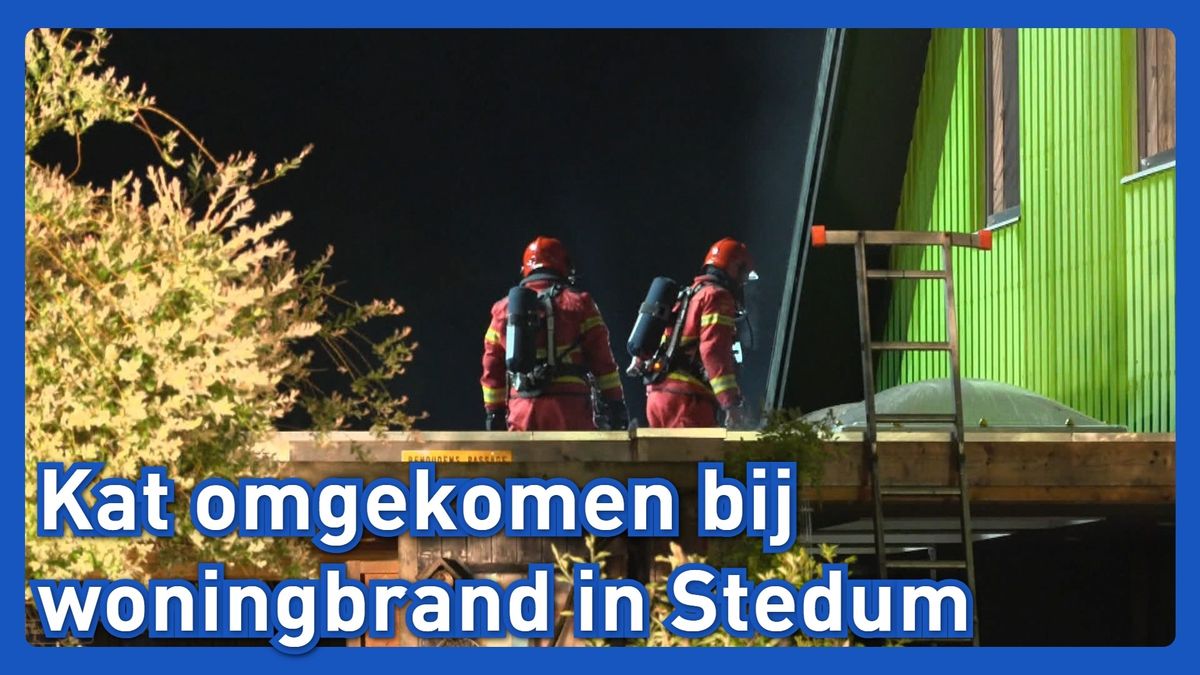 Kat overleden bij woningbrand Stedum