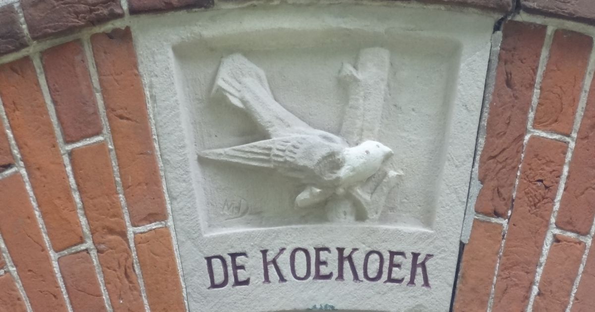 Waar komt de uitdrukking ‘dank je de koekoek’ vandaan? En hoe zit het
