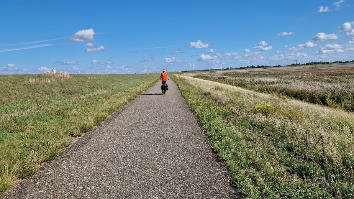 Waterschap moet aan de bak om ook in de toekomst goed wegennet te houden