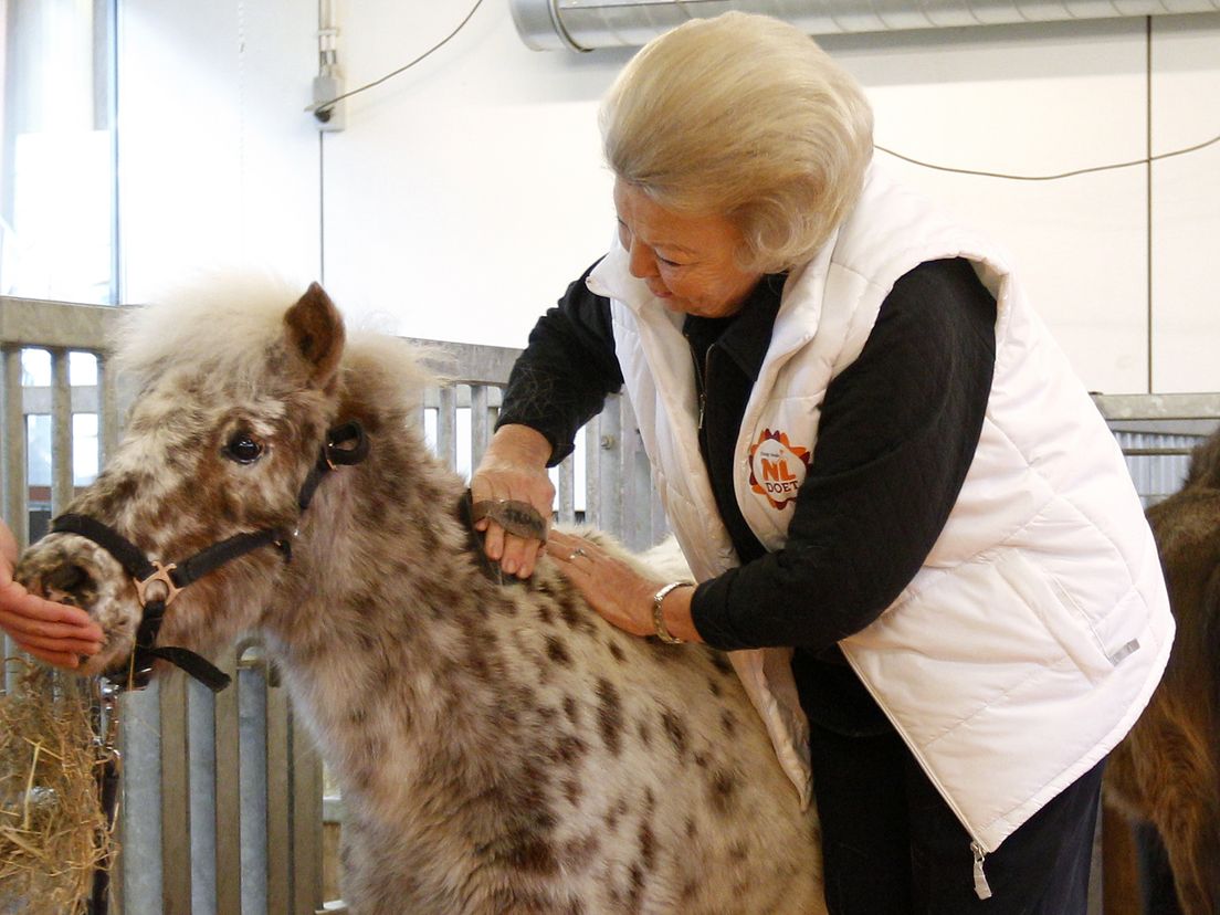 Prinses Beatrix kwam in 2012 naar Dordrecht om mee te doen met NL Doet.