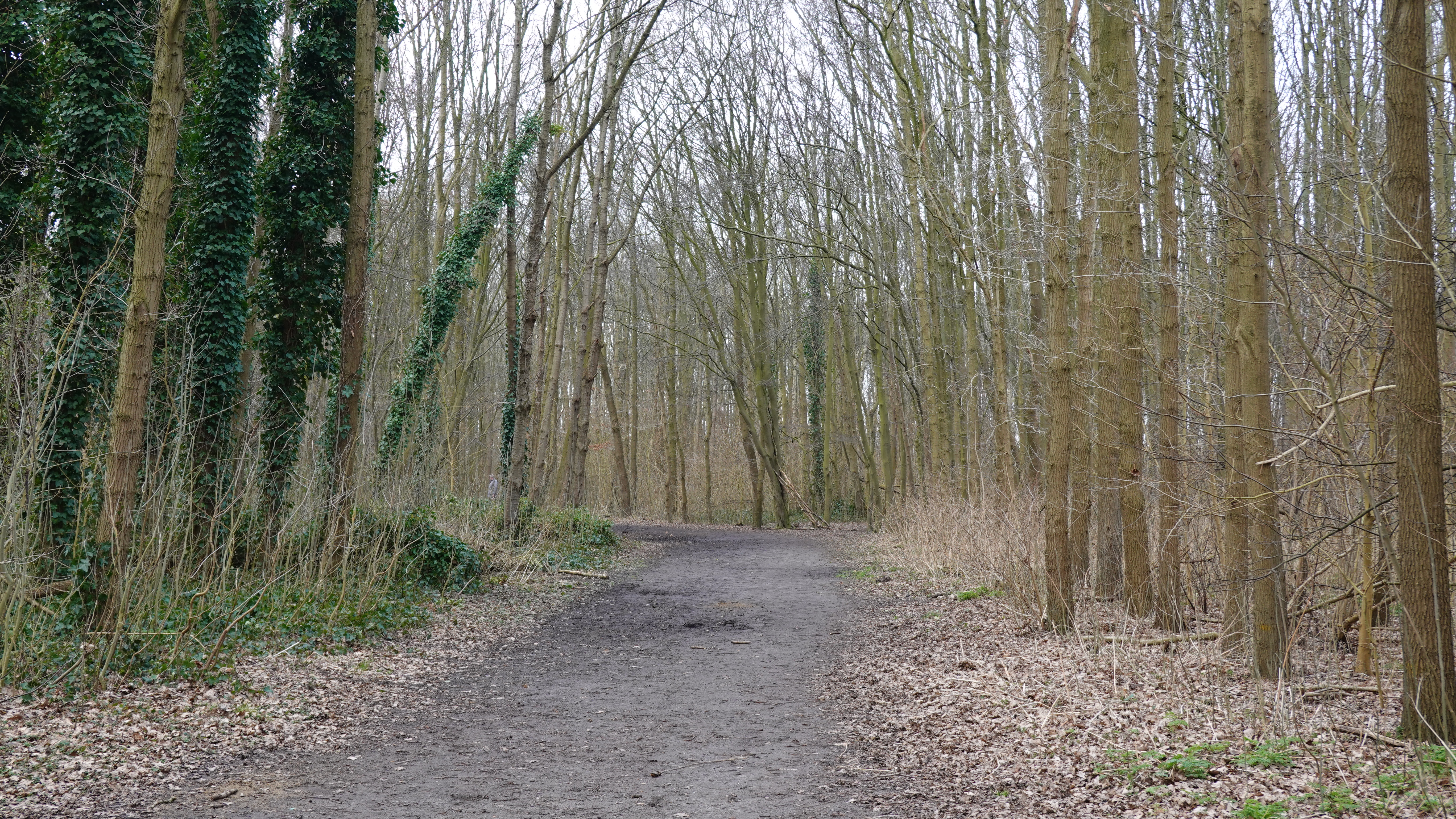 Het park aan de rand van de woonwijk Sveaparken in Schiedam-Noord