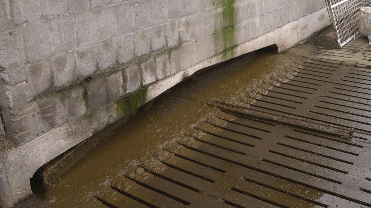 Boeren in Koekange zien monovergister als oplossing van het stikstofprobleem