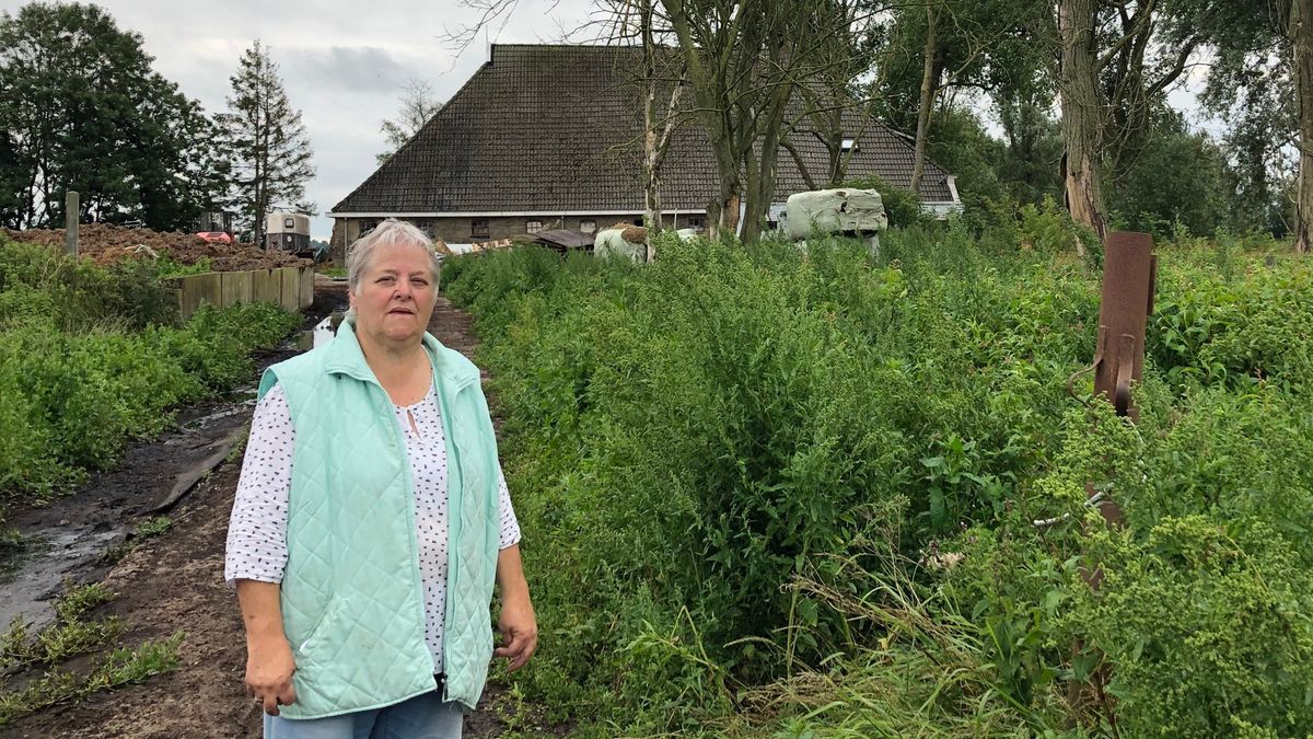 Ooievaarsdorp is er eigenlijk wel klaar mee, 