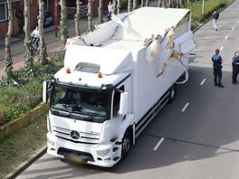 Chauffeur rijdt vrachtwagen kapot onder viaduct