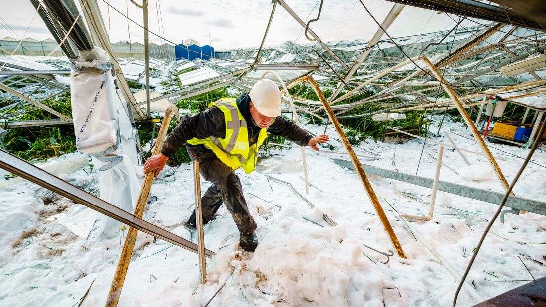 Na hevige sneeuwval is een kas van kweker Peter Lievaart ingestort