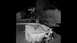 Aardbeving hoorbaar op camera