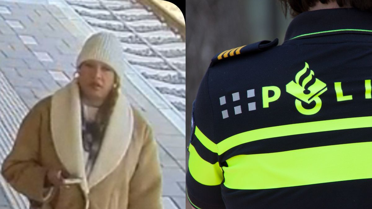 Politie zoekt vrouw na seksuele intimidatie van minderjarige jongen in trein vanuit Roermond