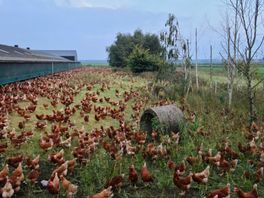 Adema trekt ophokplicht in groot deel Nederland in