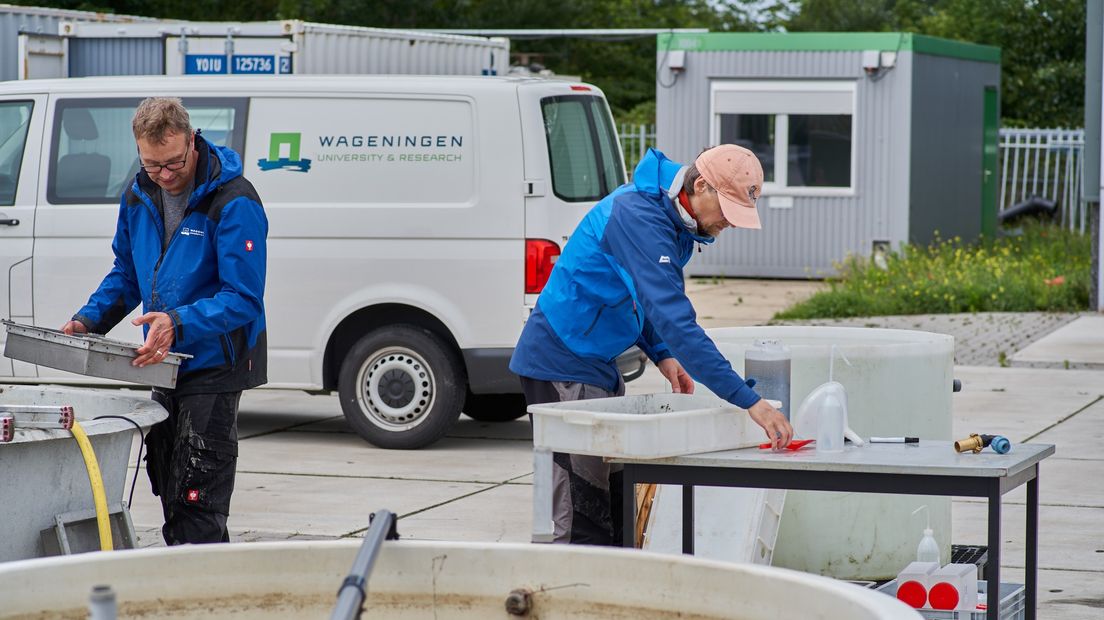 Wurk oan it leechheljen fan de ûndersyksbakken