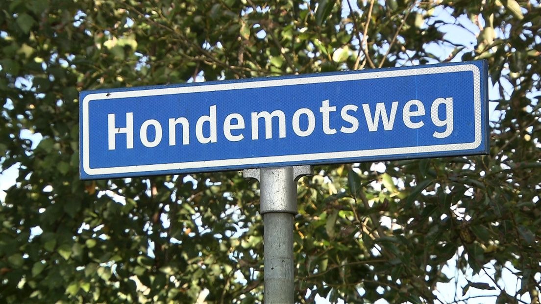 Hondemotsweg in Raalte