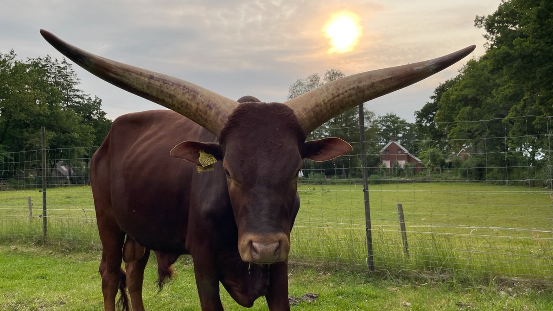 5df98ada-ec28-3b83-b974-ec314c5e11bd.jpg?width=1104&height=620&aspect_ratio=1104:620&cb=02881df24606ba6f131f8479472bf422