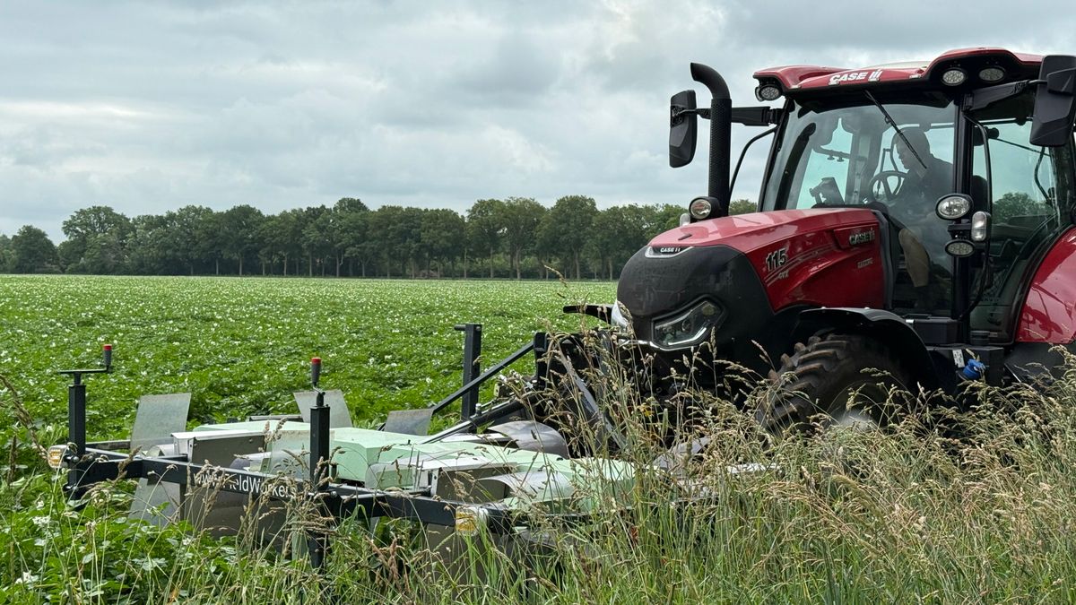 Machinaal kevers meppen: experiment voor een grotere biodiversiteit