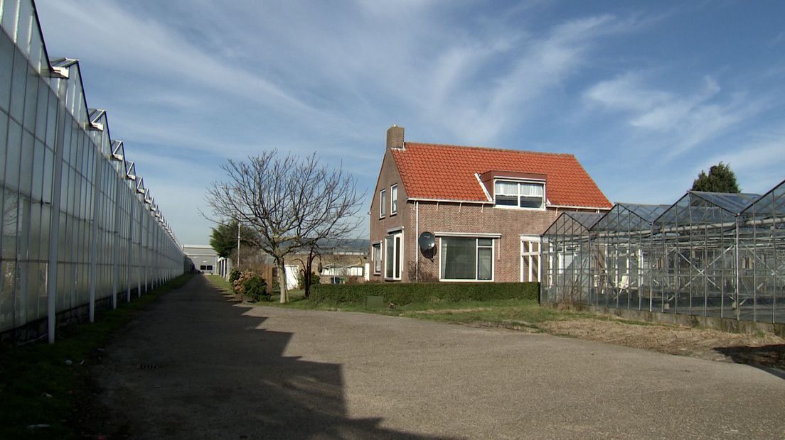 Het huis aan het Regulierenpad in Honselersdijk