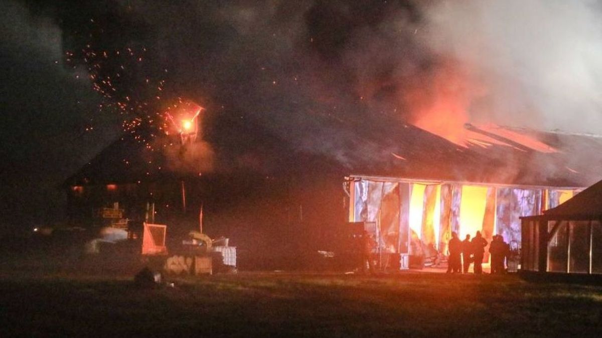 Aantal dode dieren door stalbranden in Nederland neemt niet af