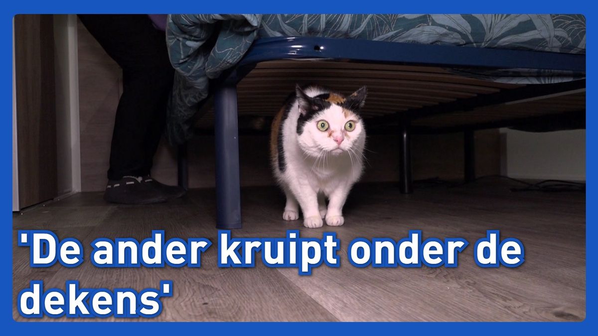 Camping Meerwijck in Kropswolde staat open voor vuurwerkvluchtelingen
