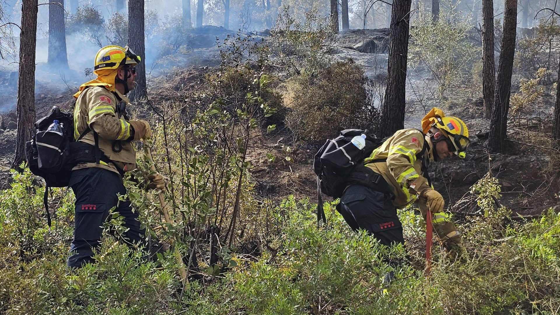 Gelderse brandweer helpt bij Spaanse bosbrand