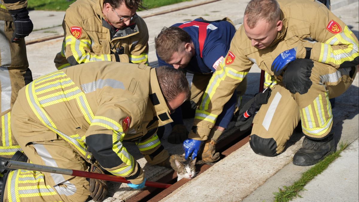Brandweer bevrijdt vastzittende kat uit rails in Bunschoten