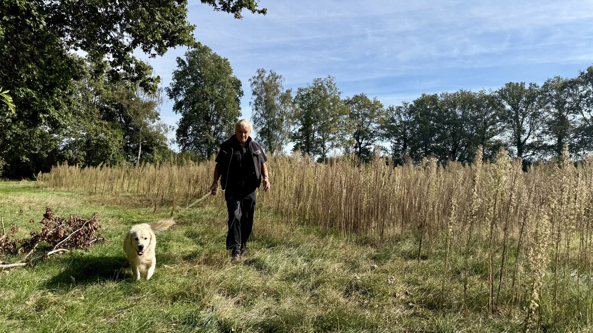Dit echtpaar heeft een bijzonder plan met het verlaten voetbalveld in Valthe: 'Maak er een landgoed 