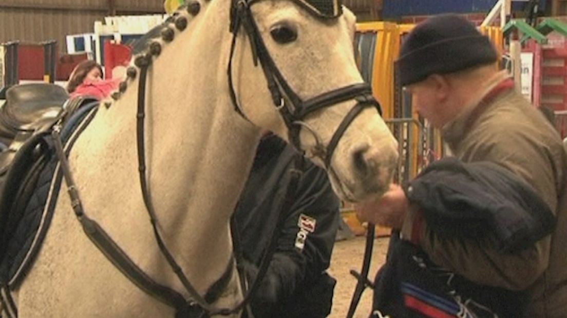 Pony Indoor concours in Wierden