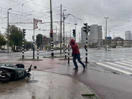 Afgebroken takken en omgewaaide bomen in Den Haag door storm Poly