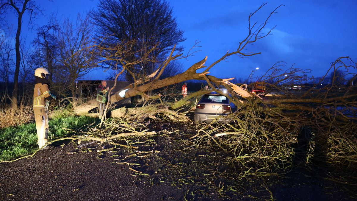 Auto komt onder boom terecht in Heerenveen