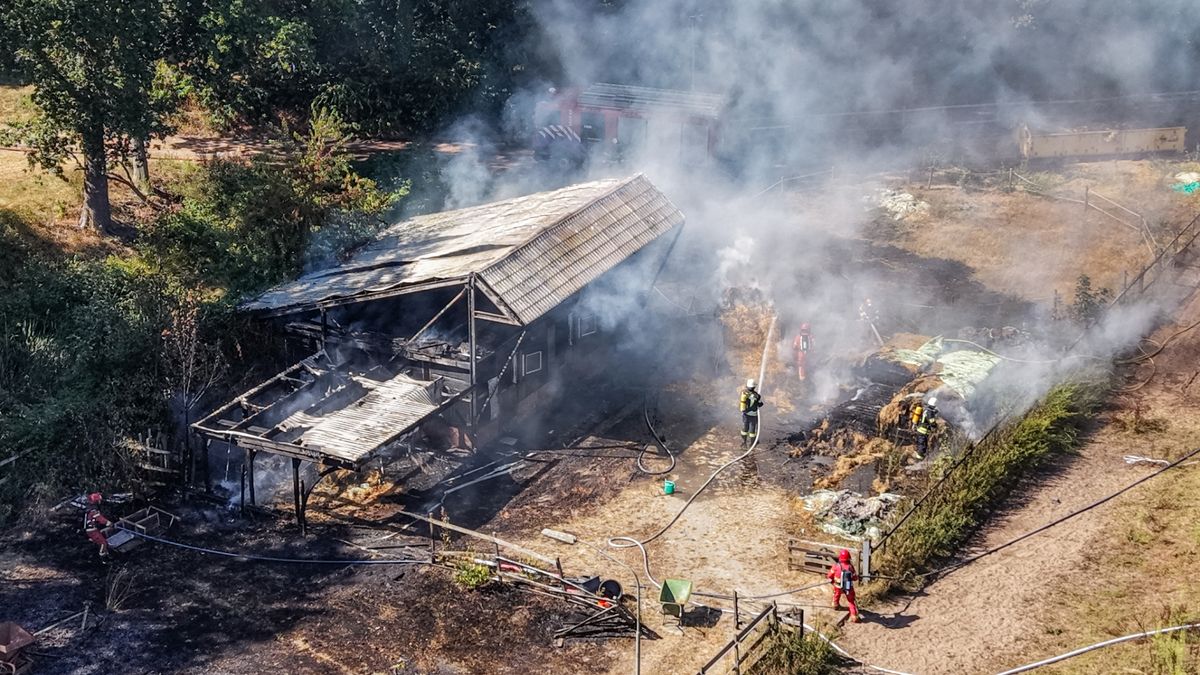Grote brand in paardenstal Ter Apel: dieren in veiligheid gebracht