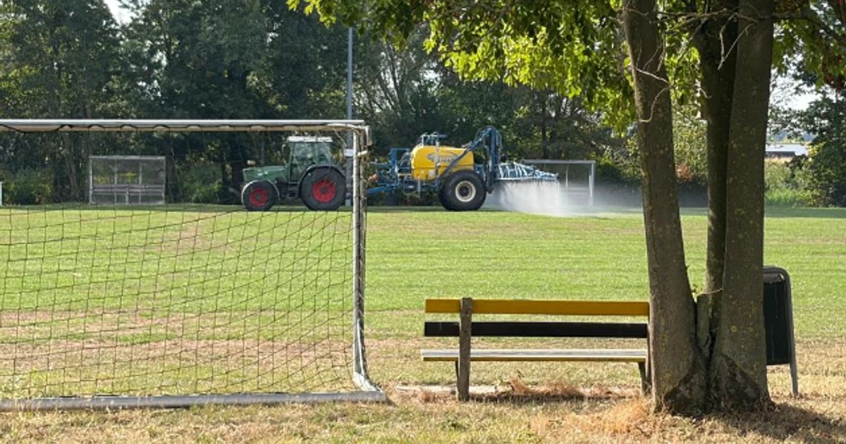 Kinderen voetballen op giftig veld: raadslid is ongerust en boos