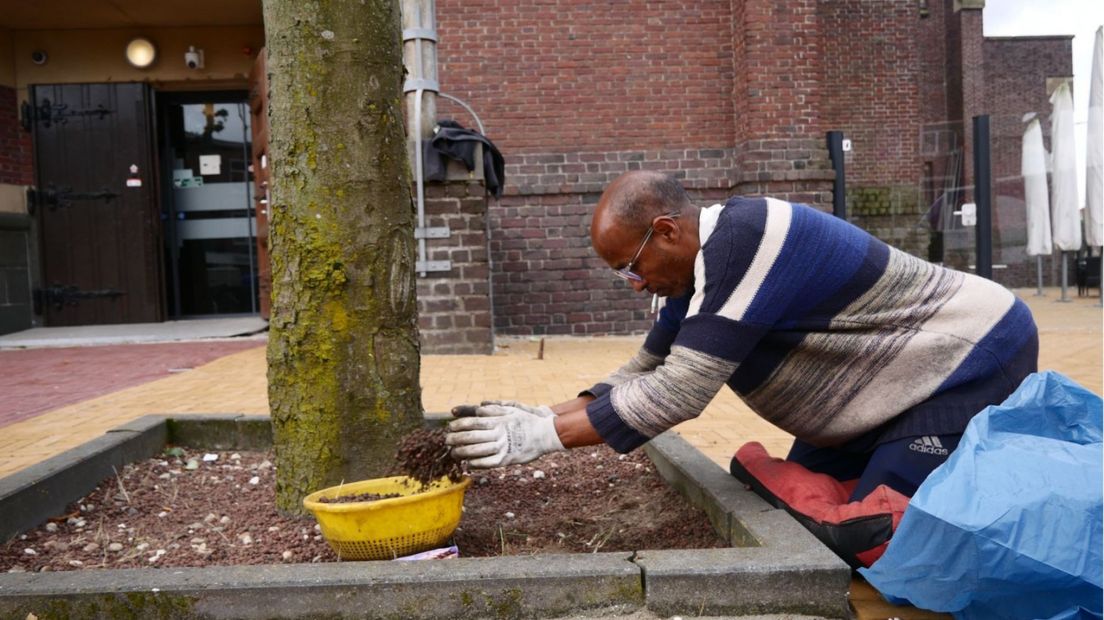 De laatste voorbereidingen voor het jubileum worden getroffen