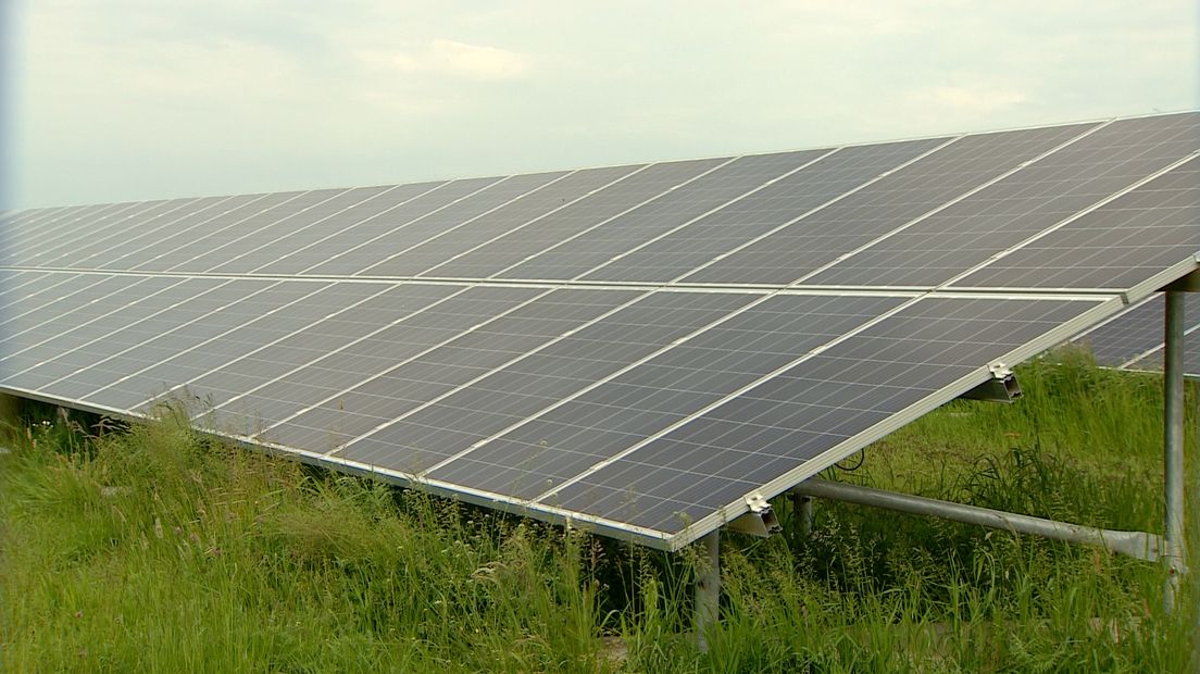 Het Zonnepark Assen-Zuid met 20 hectare aan zonnepanelen past nog wel op het net (Rechten: archief RTV Drenthe)