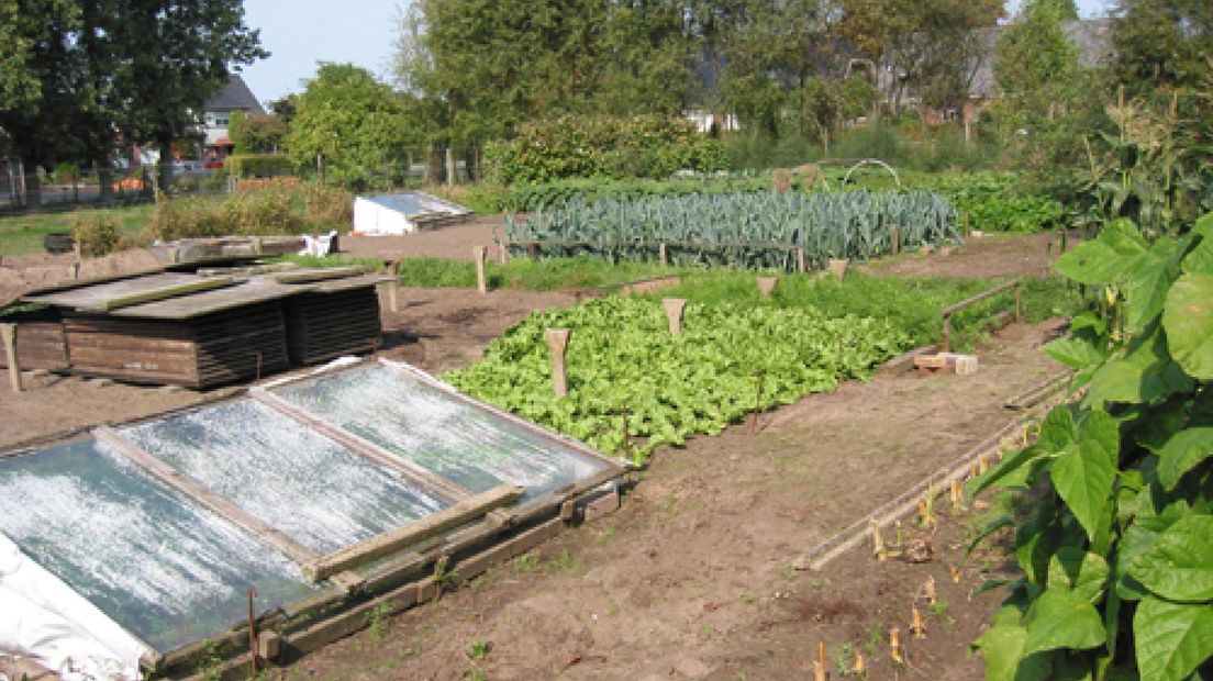 Moestuin voor Voedselbank Arnhem