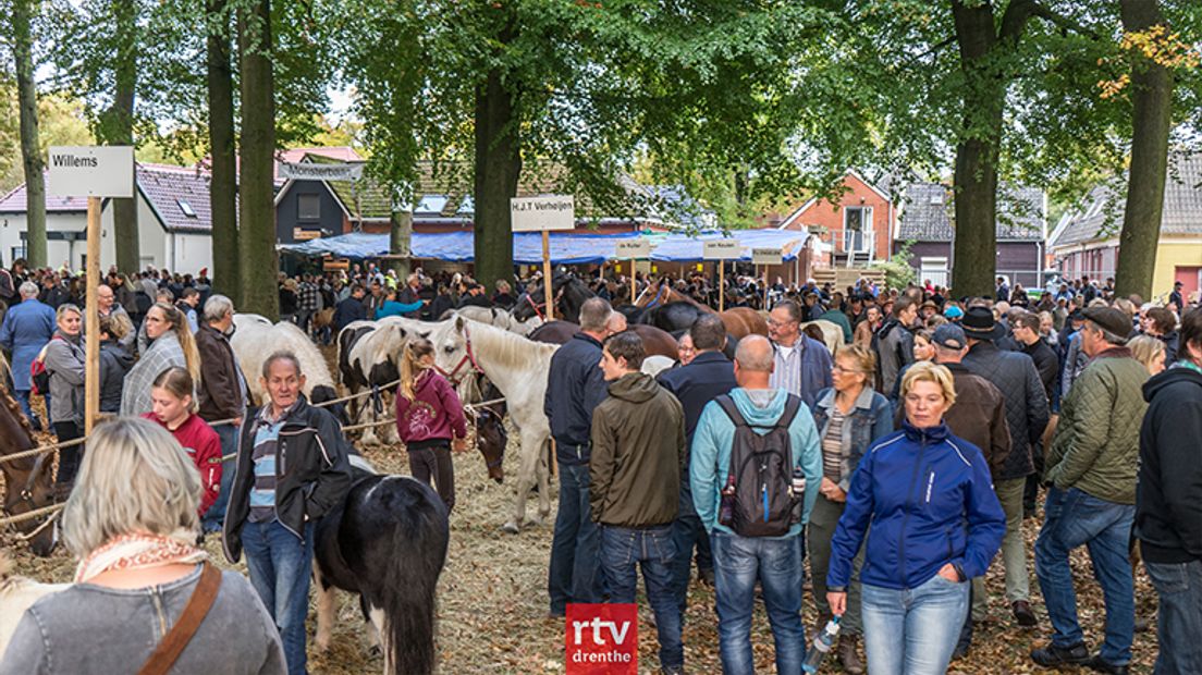 Drukte op de Zuidlaardermarkt van 2017 (Rechten: RTV Drenthe / Kim Stellingwerf)