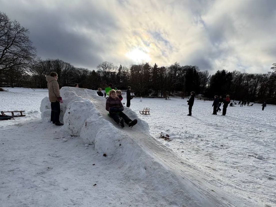 5ec31d66-b34e-3568-9f07-862dab40fa83.jpg?width=1104&height=828&aspect_ratio=1104:828&cb=6bd4e70c917b0c66cf46e539479cd781