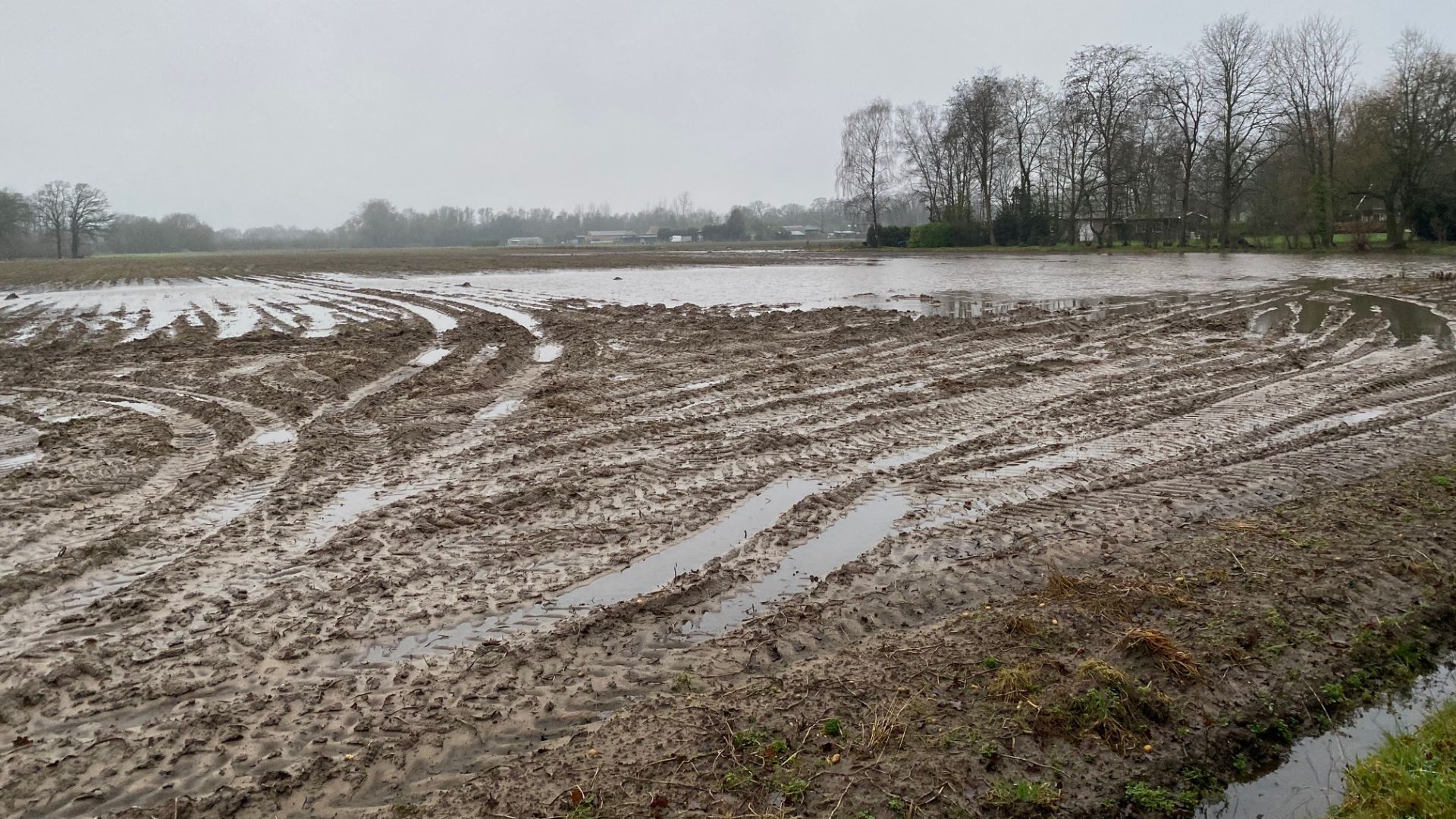 Nattigheid op de landerijen in de Achterhoek.