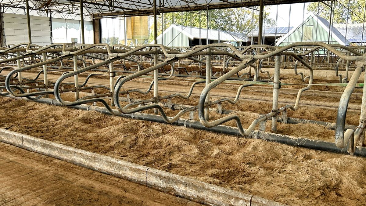 Boer Marco liet zich uitkopen en heeft nu een doodstille stal: 