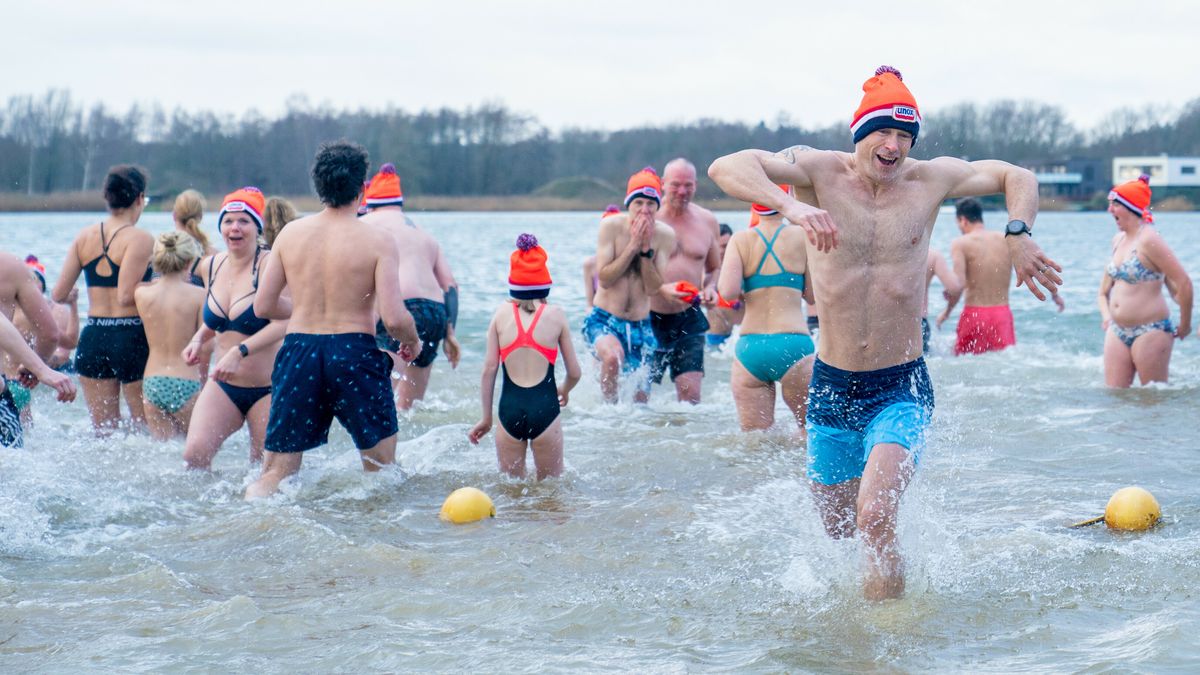 Dit is er de tweede week van de kerstvakantie te doen in Drenthe