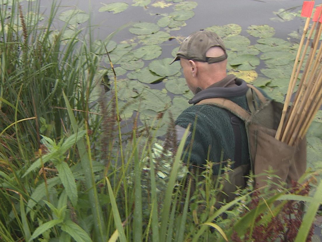 Op zoek naar een muskusrat