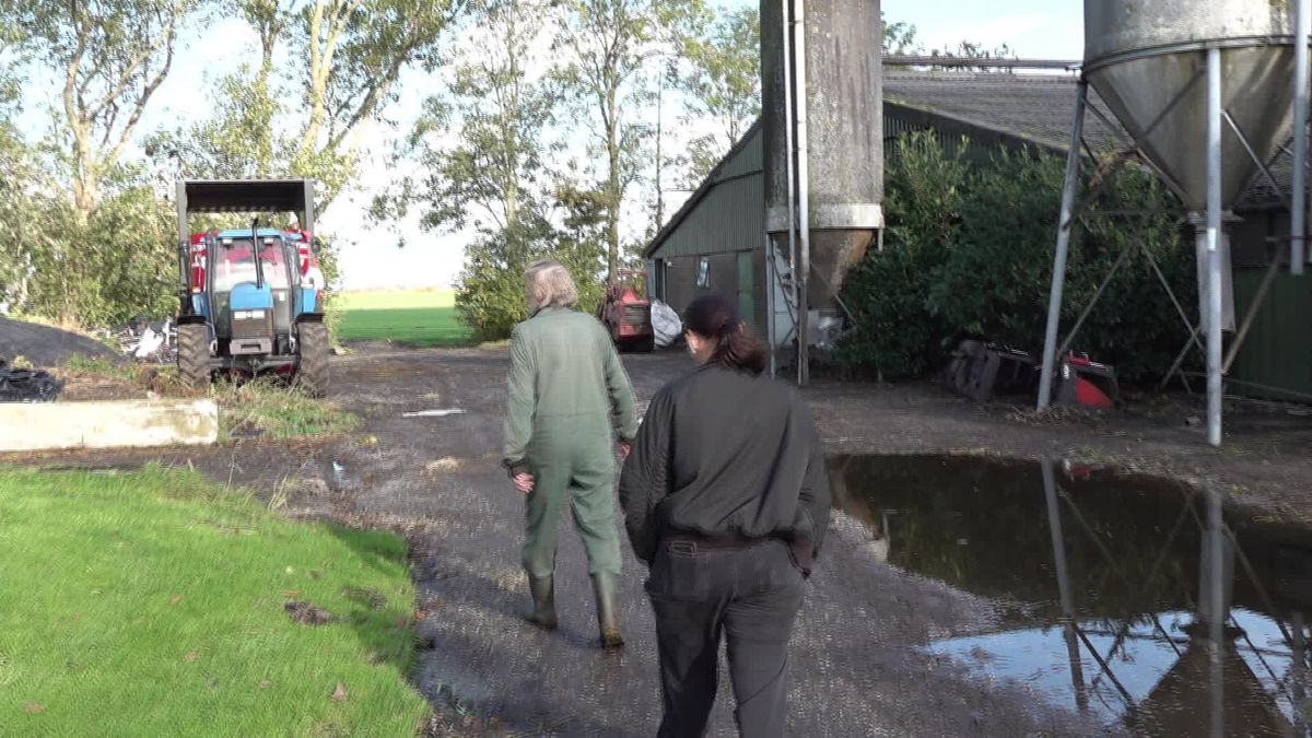 Toch schade door tornado in Langweer