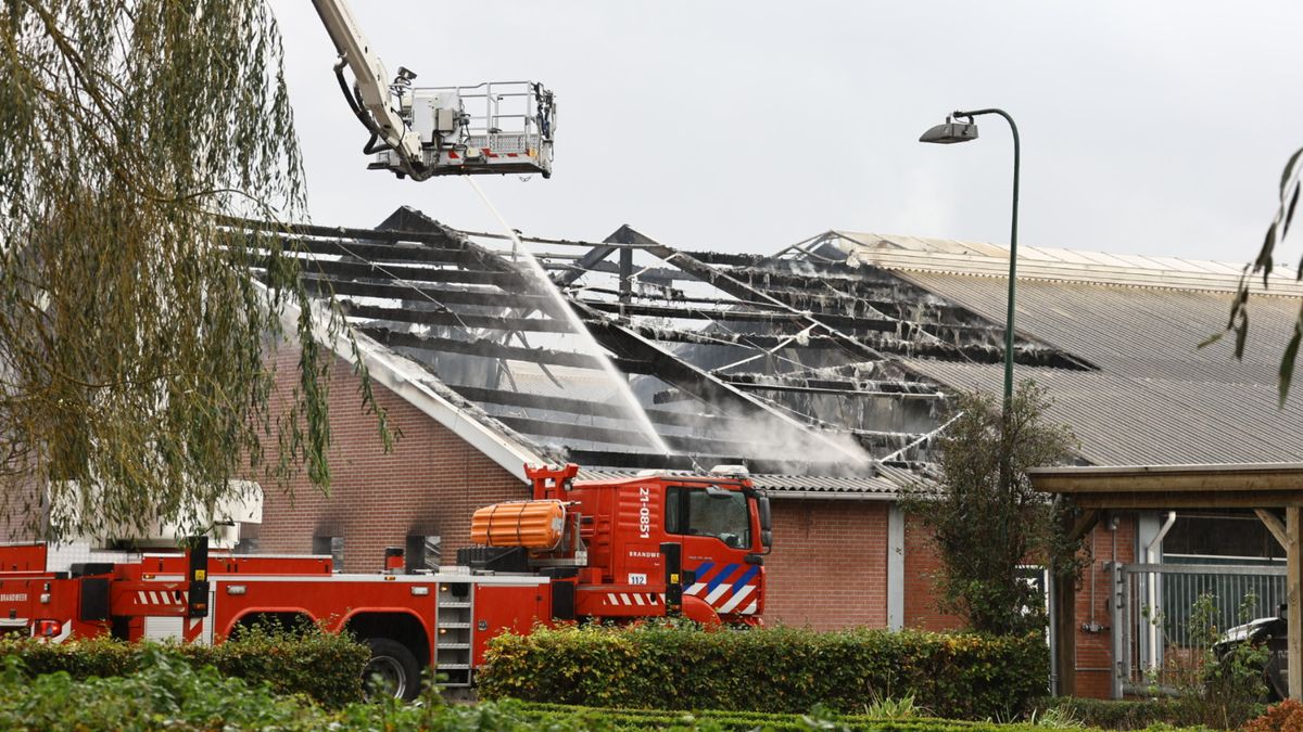 Zeer grote brand in geitenstal in Siebengewald