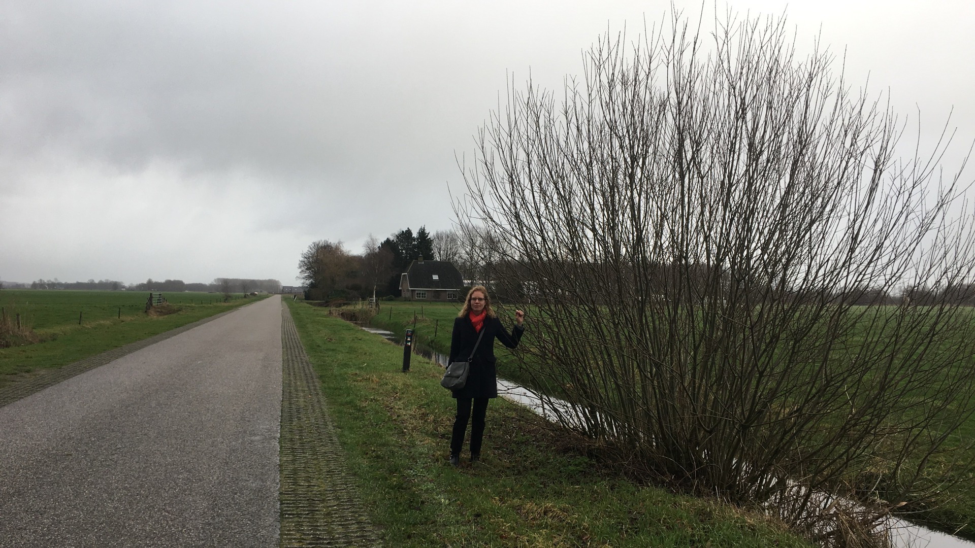 Fleur op it plak fan it ûngelok