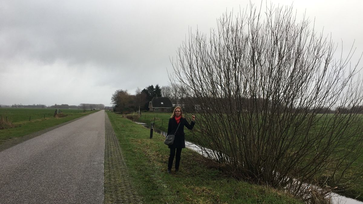 Fleur van der Bij zoekt man die haar zusje doodreed Omrop Fryslân