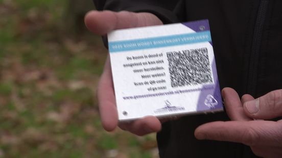 Kaartjes met QR-code aan bomen